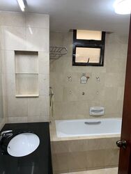 Seletaris (D27), Condominium #498229401